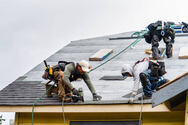 Professional Roofing technician working in Columbus City, IA